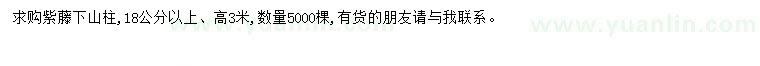 求購18公分以上紫藤下山樁