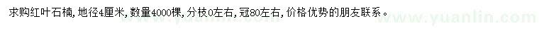 求購(gòu)地徑4公分紅葉石楠