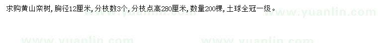 求購(gòu)胸徑12公分黃山欒樹