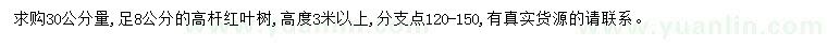 求購(gòu)30公分量8公分高桿紅葉樹(shù)