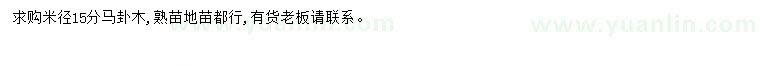 求購米徑15公分馬褂木