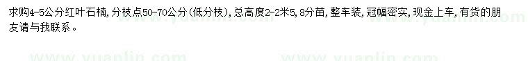 求購4-5公分紅葉石楠