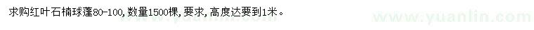 求購(gòu)冠幅80-100公分紅葉石楠球