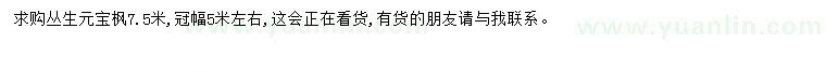 求購(gòu)7.5米叢生元寶楓