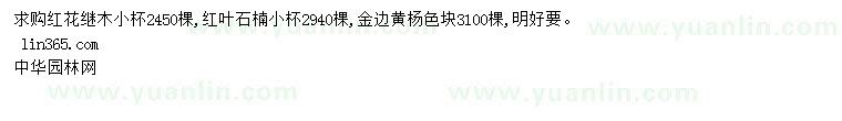 求購紅花繼木、紅葉石楠、金邊黃楊