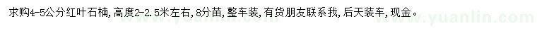 求購4-5公分紅葉石楠