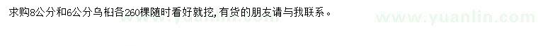 求購6、8公分烏桕