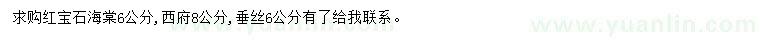 求購(gòu)紅寶石海棠、西府海棠、垂絲海棠