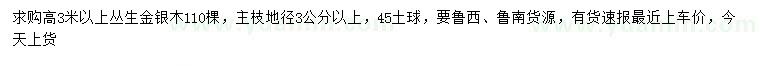 求購高3米以上叢生金銀木