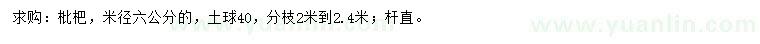 求購(gòu)米徑6公分枇杷