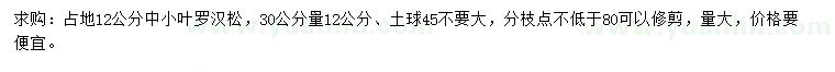求購30量12公分中小葉羅漢松
