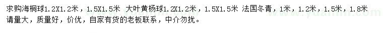 求購(gòu)海桐球、大葉黃楊球，法國(guó)冬青