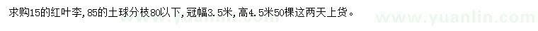 求購15公分紅葉李