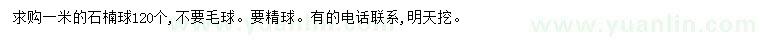 求購(gòu)1米石楠球