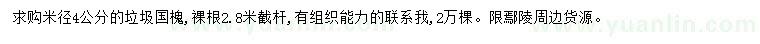 求購米徑4公分國槐