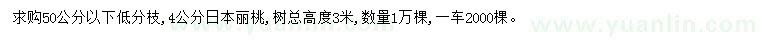 求購(gòu)4公分日本麗桃