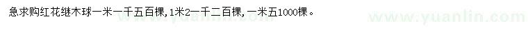 求購1、1.2、1.5米紅花繼木球