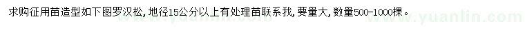 求購地徑15公分以上造型羅漢松