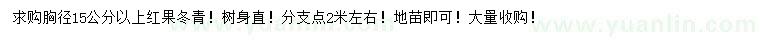 求購胸徑15公分以上紅果冬青
