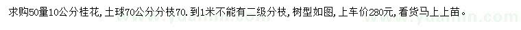 求購50量10公分桂花