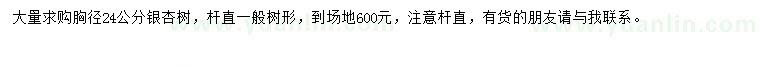 求購(gòu)胸徑24公分銀杏