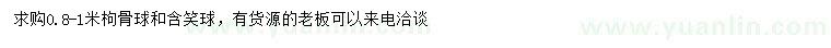 求購0.8-1米枸骨球、含笑球