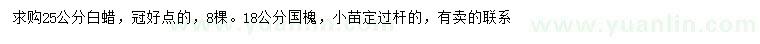 求購25公分白蠟、18公分國槐