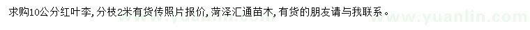 求購(gòu)10公分紅葉李