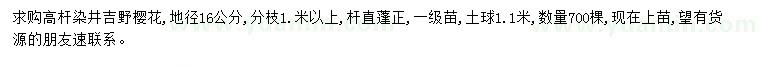 求購地徑16公分高桿染井吉野櫻花