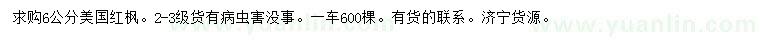 求購6公分美國紅楓