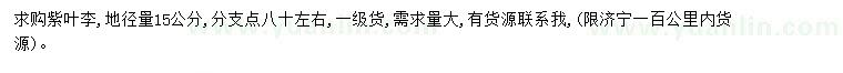求購地徑15公分紫葉李