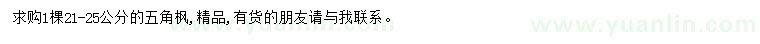 求購(gòu)21-25公分五角楓