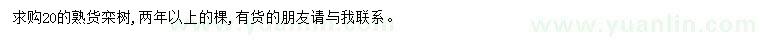 求購20公分欒樹