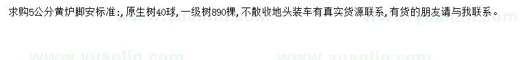 求購5公分黃櫨