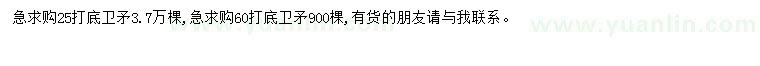 求購25、60公分打底衛(wèi)矛