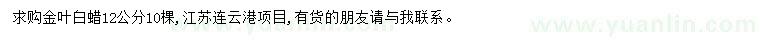 求購12公分金葉白蠟