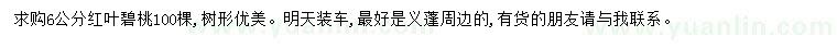 求購6公分紅葉碧桃