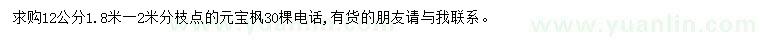 求購12公分元寶楓