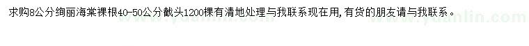 求購8公分絢麗海棠
