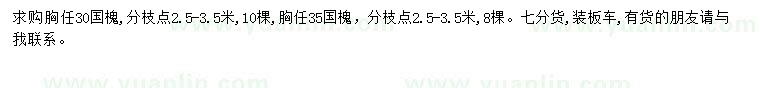 求購胸徑30、35公分國槐