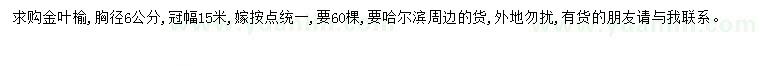 求購胸徑6公分金葉榆