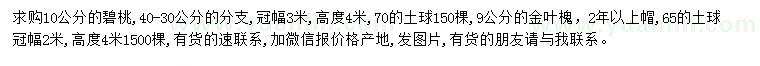 求購10公分碧桃、9公分金葉槐