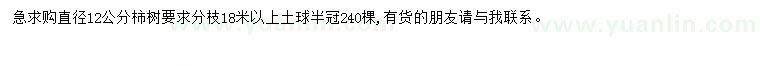 求購直徑12公分柿樹