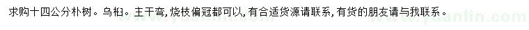 求購14公分樸樹、烏桕