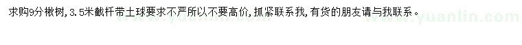 求購(gòu)9公分楸樹(shù)