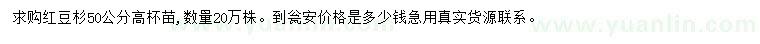 求購高50公分紅豆杉