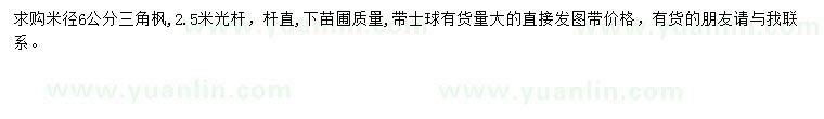 求購米徑6公分三角楓