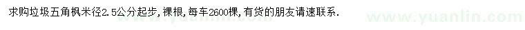 求購米徑2.5公分起步五角楓