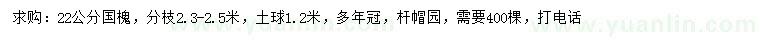 求購22公分國槐