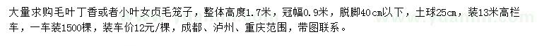 求購(gòu)高1.7米毛葉丁香、小葉女貞
